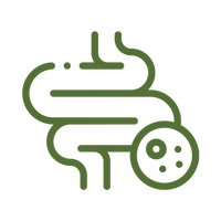 Gut Health