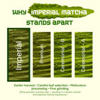 Oneat Imperial Matcha – Premium Japanese Matcha from Shizuoka, 30g
