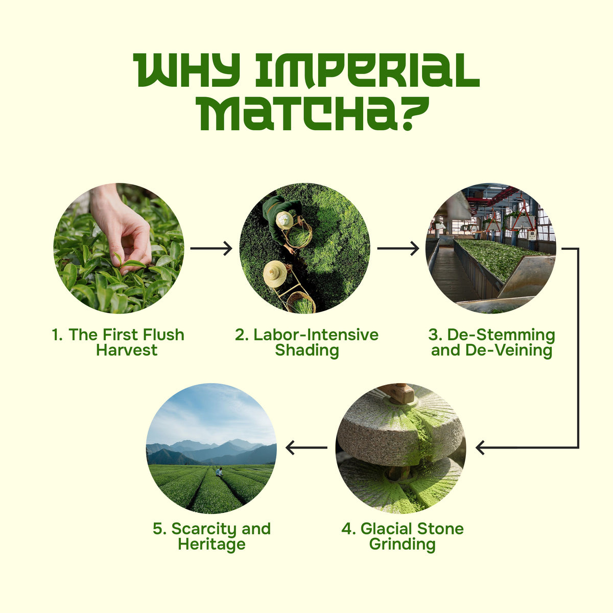 Oneat Imperial Matcha – Premium Japanese Matcha from Shizuoka, 30g